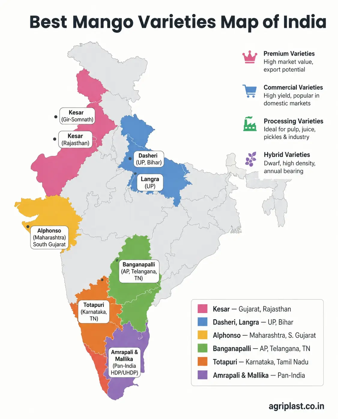 Map of India showing best mango variety zones by state &mdash; Alphonso Maharashtra, Kesar Gujarat, Dasheri UP, Banganapalli Andhra Pradesh, Totapuri Karnataka